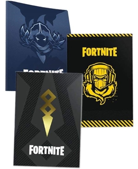 DIARIO 16 MESI FORTNITE