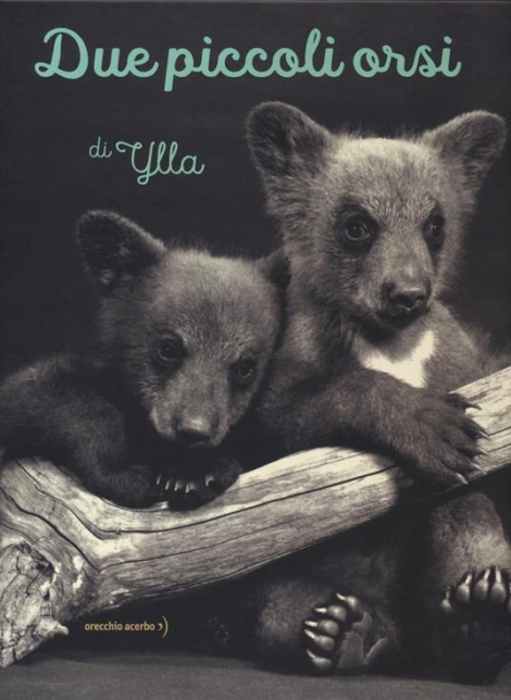 YLLA - DUE PICCOLI ORSI