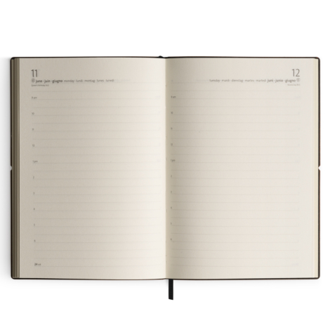 AGENDA GIORNALIERA 2024  CIAK SQUARED