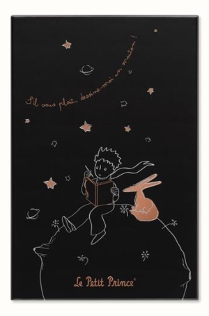 TACCUINO MOLESKINE, PICCOLO PRINCIPE EDIZIONE LIMITATA LARGE CON GIFT BOX