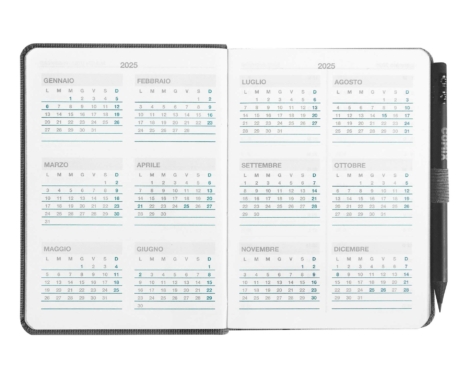 AGENDA GIORNALIERA 12 MESI 2025 COMIX (MIGNON BLACK)