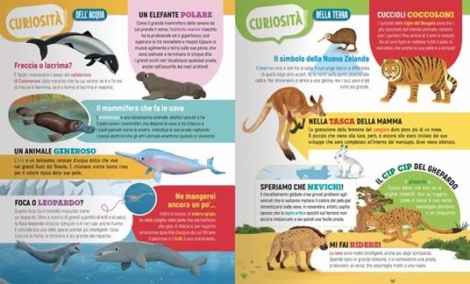 ANIMALI DA TUTTO IL MONDO