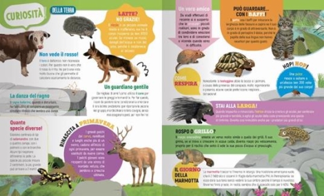 AMICI ANIMALI