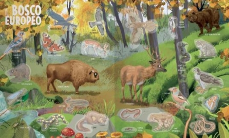 AMICI ANIMALI