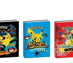 DIARIO STANDARD POKEMON