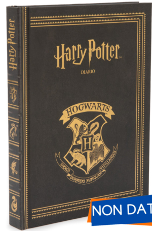 DIARIO HARRY POTTER 2025/26