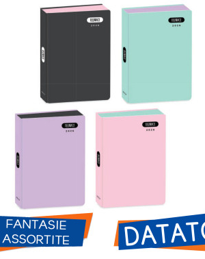DIARIO DATATO TEENACE TINTA UNITA PASTELLO 2025/26